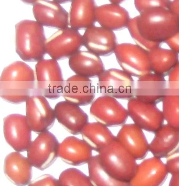 Adzuki Beans