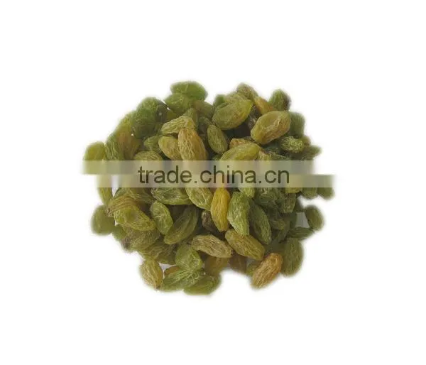 China Suppliers Best Price Green Raisin photo-5