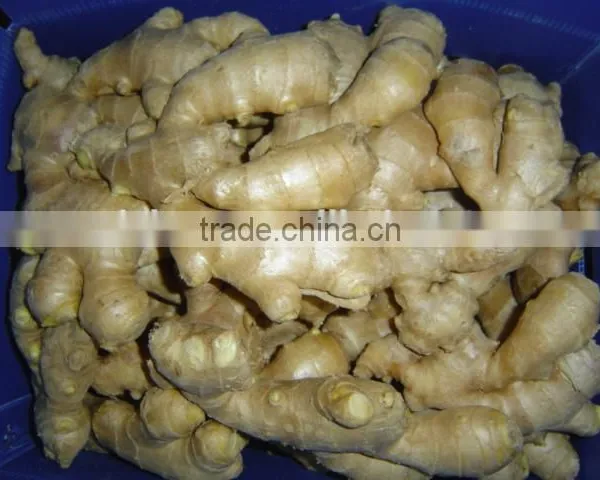 Chinese Fresh Ginger photo-2