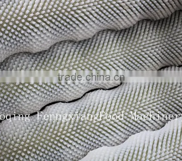 MSTP-80 High Efficiency Stainless Steel Potato Washing and Peeling Machine,shallot and Taro Peeling Machine photo-4