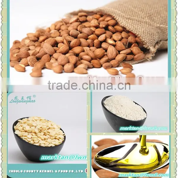 High Quality Sweet Apricot Kernels Made in China. photo-3
