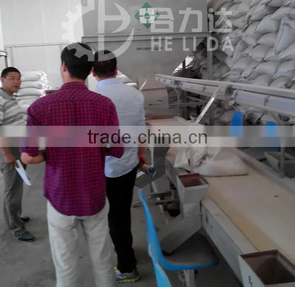 Competetive Price HLD-10 Hot Sale Seeds Product Line photo-4