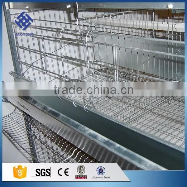 30 Years' Factory Supply Automatic Chicken Nest photo-4