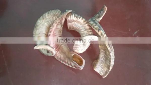 Ram Horn