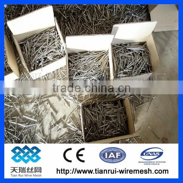 Common Wire Nail/polished Common Nail/bright Common Nail photo-5