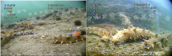Chinese Supplier Hand Held Shrimp Monitoring Underwater Fish Finder Video Camera photo-2
