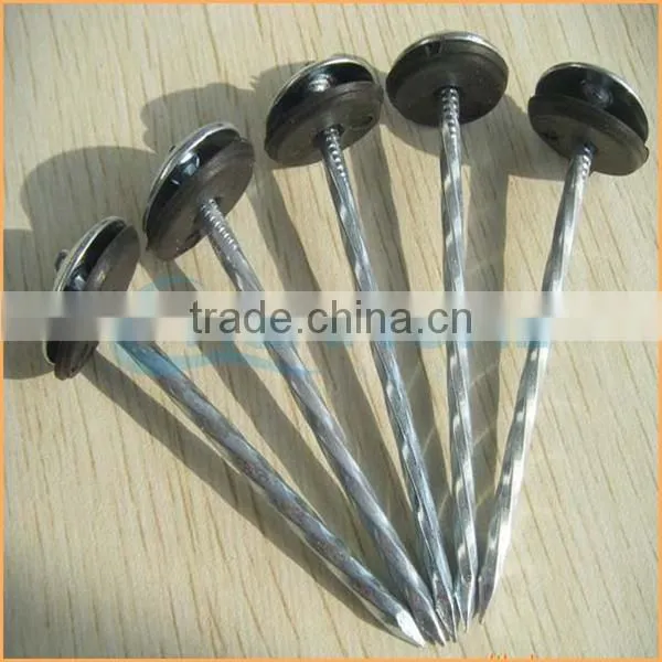 Top Quality Metal Iron Nail Type Roofing Nail With Umbrella Trusted Chuanghe Suppliers From Com photo-5