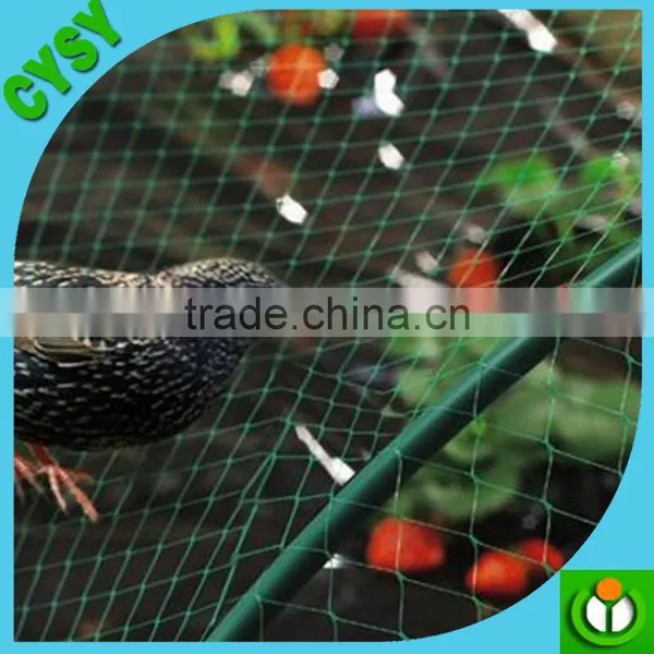 Agriculture Used 100% Virgin HDPE Plastic Green Weaving Anti-bird Net on Hot Selling photo-3