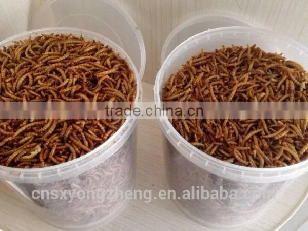 Natural Balance Pet Food Supplies Mealworms photo-5