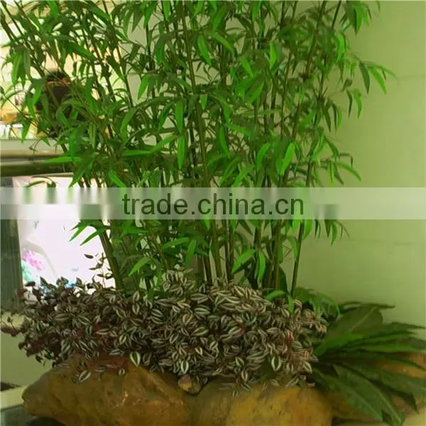 High Imitation Wholesale Artificial Decorative Bamboo,fake Bamboo photo-3