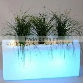 LED LIGHT FLOWER VASE