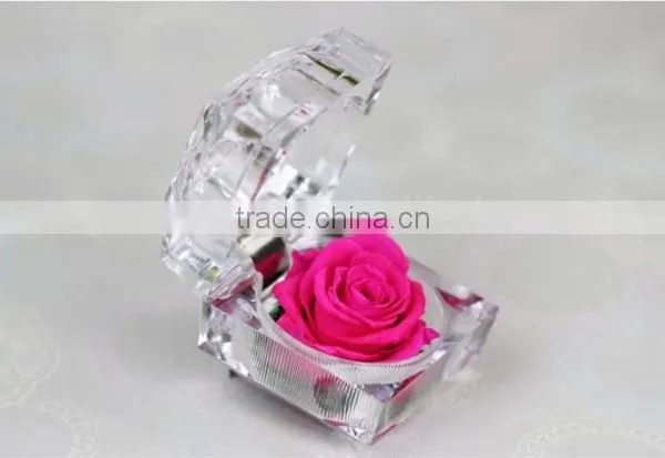 Good Selling Top Quality Preserved Natural Rose Flower In Box As Ladies Gift Items photo-5
