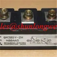 QM30DY-2H