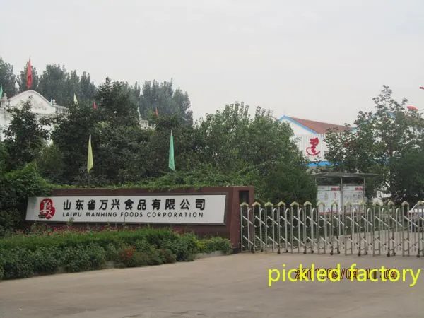Qingdao Manhang International Trade Co.,Ltd company overview - view 3