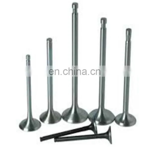 Trade Assurance Heavy Duty Truck Accessory Genuine Engine Valves for Man Cats T200 for Sale photo-2