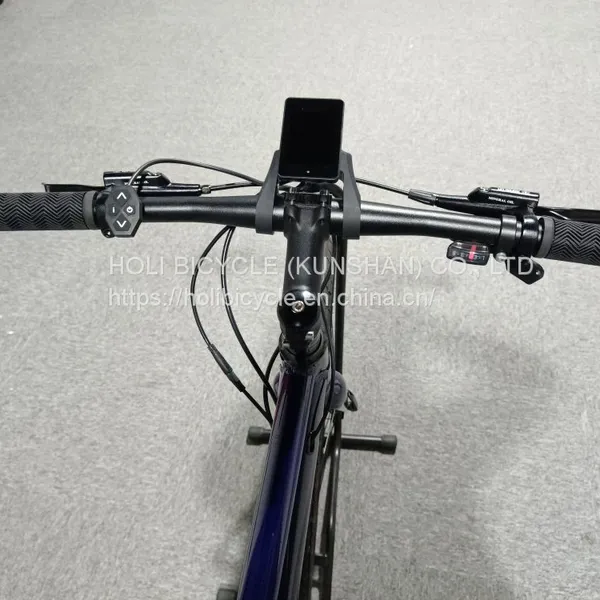 MTB Ebike Lithium Battery Aluminum Alloy Mountain Electric Bike 700c Electric Bicycle photo-2