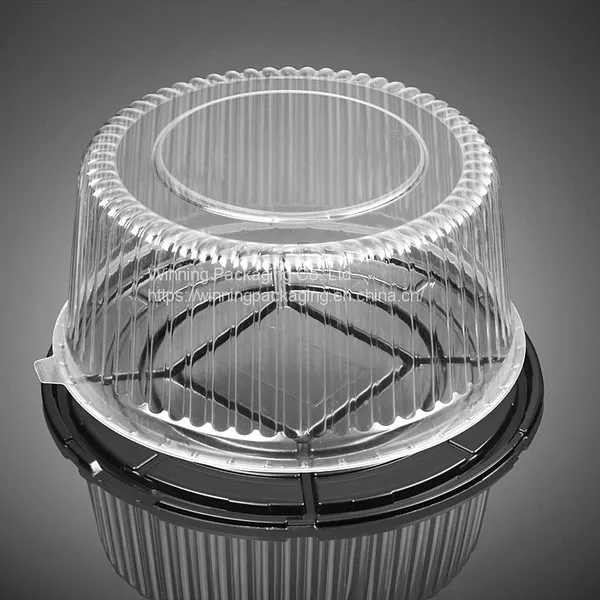 Disposable Plastic Food Containers