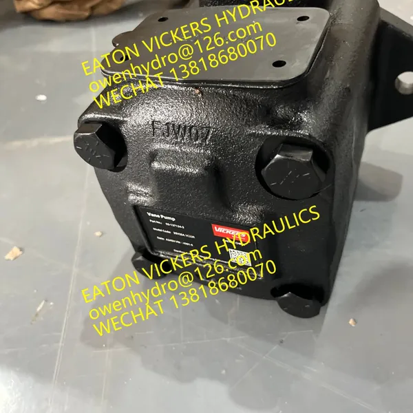 Vickers Vane Pump 45VTBS60A2203AA22R 45VTCS50A2297AA22R 45VTCS60A2203AA22R 45VTCS60A2297AA22R F3-20V12A-1C22R F3-20V5A1C22R F3-25V17A-1A22R photo-2