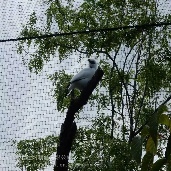 Stainless Steel Wire Rope Zoo Animals Enclosure Bird Aviary Ferrule Netting photo-5