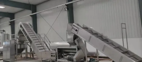 Pumpkin Fruit Processing Production Line Equipment Manufacturing, Pumpkin Pulp Processing Machinery, Pumpkin Juice Processing photo-3