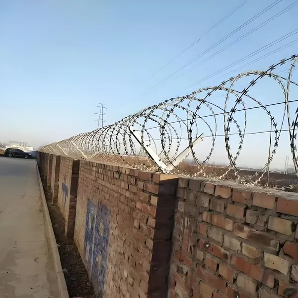 Wholesale PVC-Coated Bto-22 Concertina Razor Barbed Wire 450mm for Farm Fence Protection photo-5