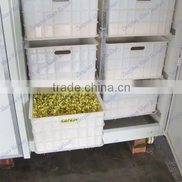 Automatic Sprouting Machine Supplier for Soybean,mung Bean,green Bean Sprouts photo-4