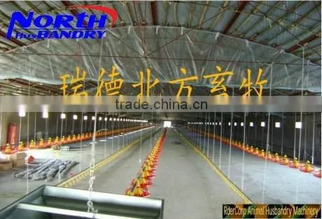 Automatic Poultry Feeders and Drinkers for Broiler Chicken photo-6