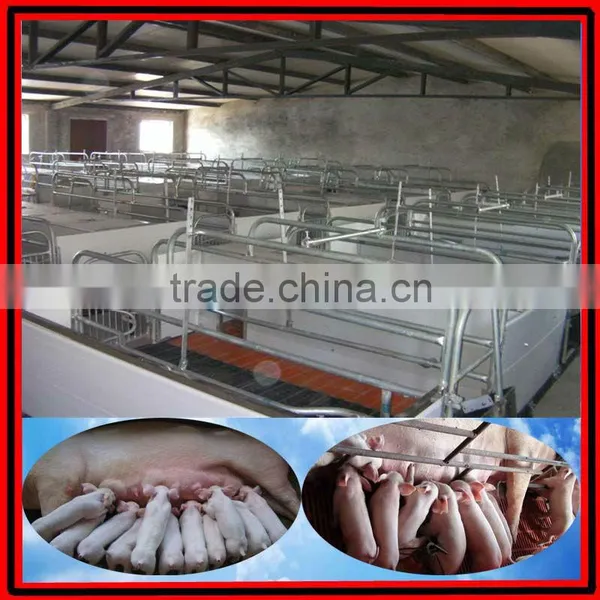 Adjustable Farrowing Crate for Pig Raising photo-4