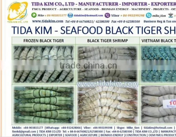 PANGASIUS HYPOPTHALMUS -TAPILA FROZEN BASA FILLLET - TIDA KIM - BLACK TIGER SHRIMP LIVE FROZEN LOBSTER P - MAKEREL FISH MAW photo-4