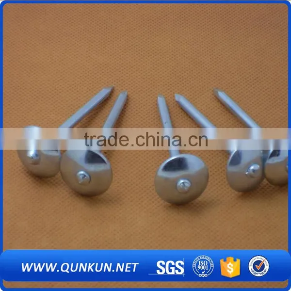 Concrete Nails Making Machine, Galvanized Grooved ss Nails Quality Choice photo-5