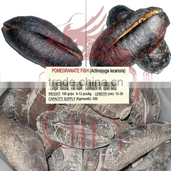 Sea Cucumber Vietnam, Pomegranate Fish, Actinopyga Lecanora