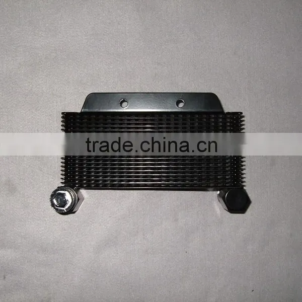 Radiator for Motorcycle Parts for KEEWAY TX200 SCL-2012030010 photo-2