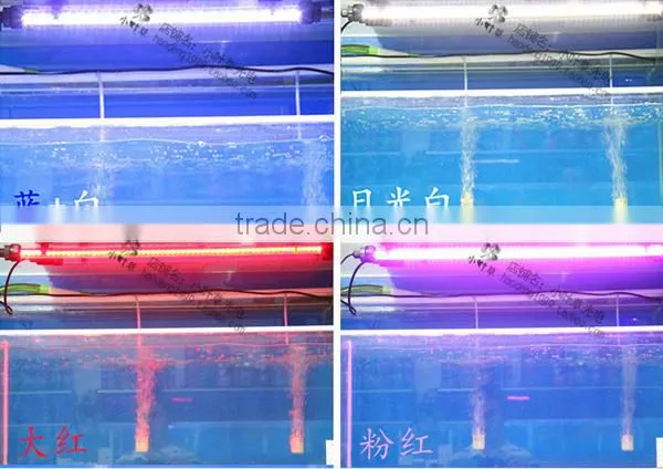 CE,RoHS Certification and Stainless Steel Lamp Body Material Led Tube Underwater Light Fixture Waterproof Lamp Ip65 DC12-24V photo-4