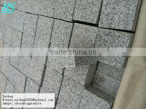 Small Grey Paving Stone photo-4