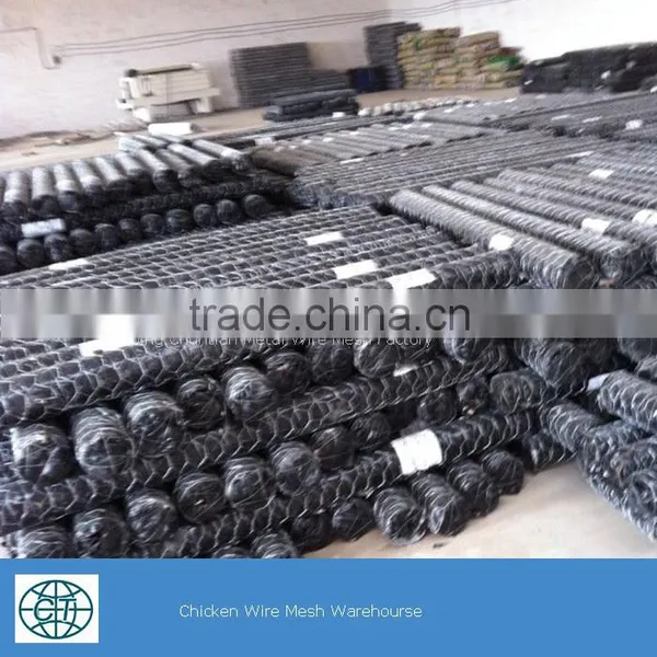 Heavy Galvanized Hexagonal Wire Mesh photo-6