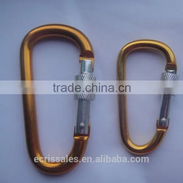Hot Selling D Shaped Carabiner With Screw photo-4
