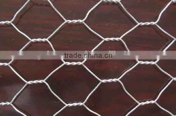 Hexagonal Mesh photo-6