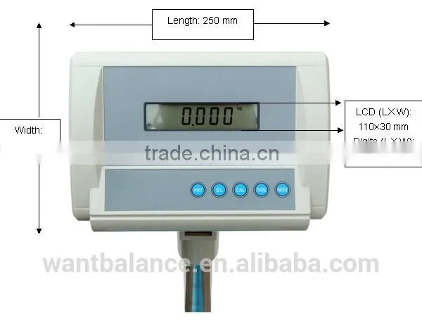 300kg Scale Model photo-4