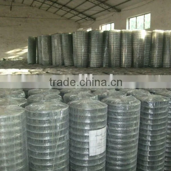 Low Price Galvanized Welded Wire Mesh in China