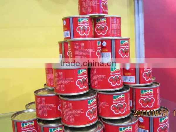 3KG High Quality Manufactory China Factory Canned Tomato Paste photo-4