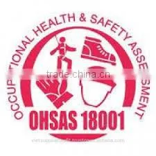 OHSAS 18001:2007- Occupational Health And Safety Management System