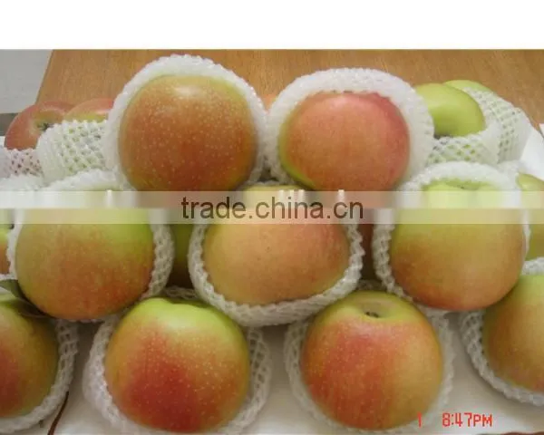 Gala Apple photo-3