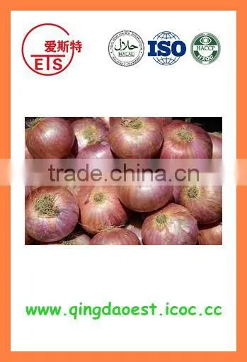 Export China Fresh Organic New Crop Red and Yellow Onion photo-5