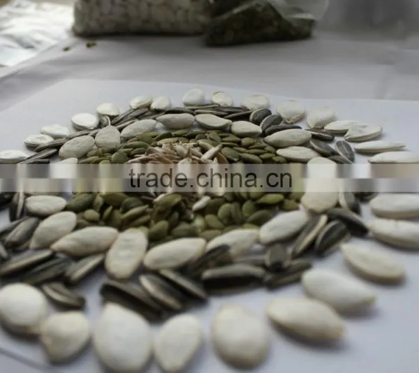 Wholesale Delicious Sunflower Seeds photo-6