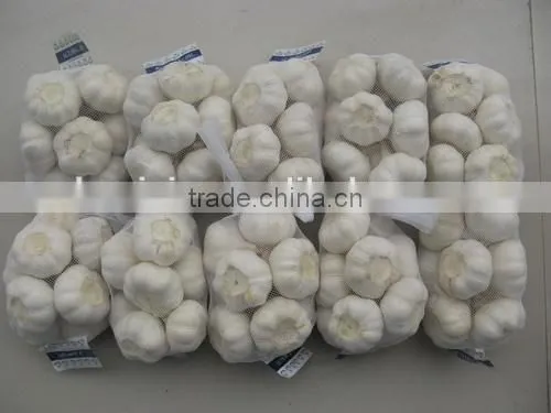 New Crop Fresh Garlic photo-4