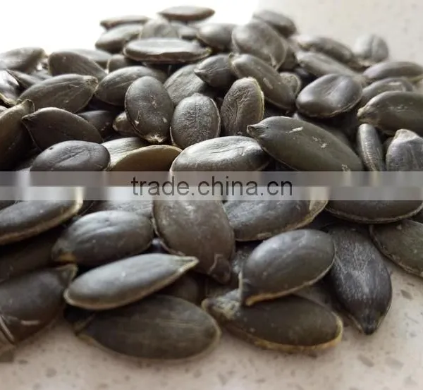 EU Standard Shine Skin Pumpkin Seeds Kernels and GWS Pumpkin Seeds photo-2