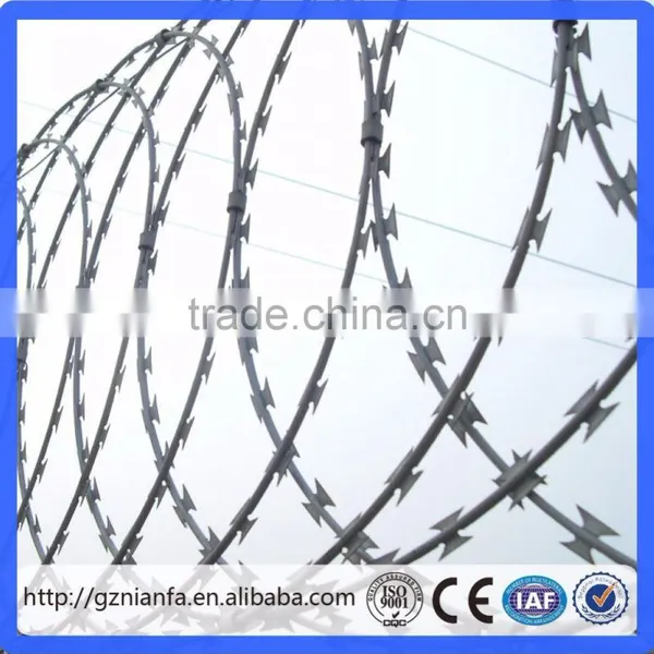 High Tensile Hot Galvanized Coil Concertina Razor Barbed Wire for Security Fence(Guangzhou Factory) photo-5
