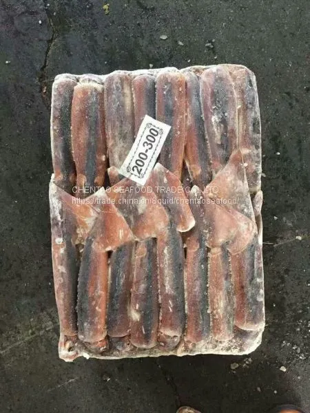 Frozen Squid photo-3