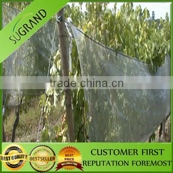 100% HDPE UV Agricultural Anti Bird Net / Fruit Tree Anti Bird Net photo-2