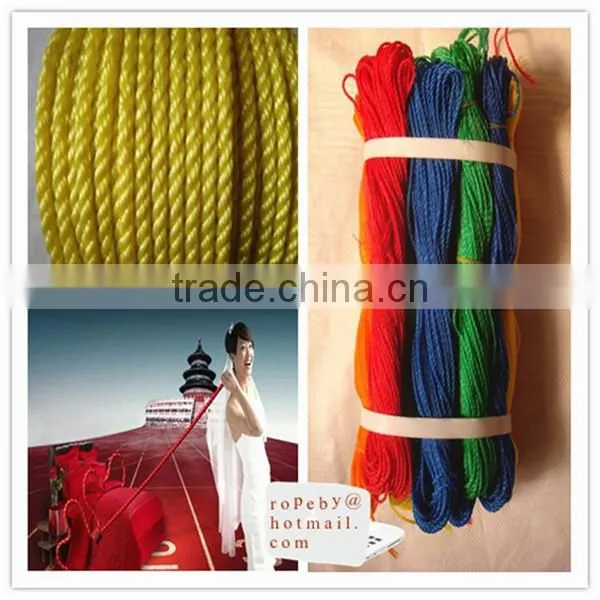 China Anchoring and Pulling Use PE Material Rope photo-5